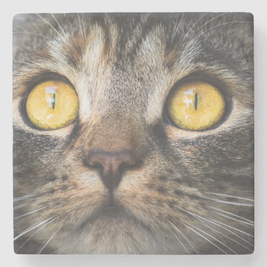 黄色い目の猫のクローズアップ ストーンコースター (正面)