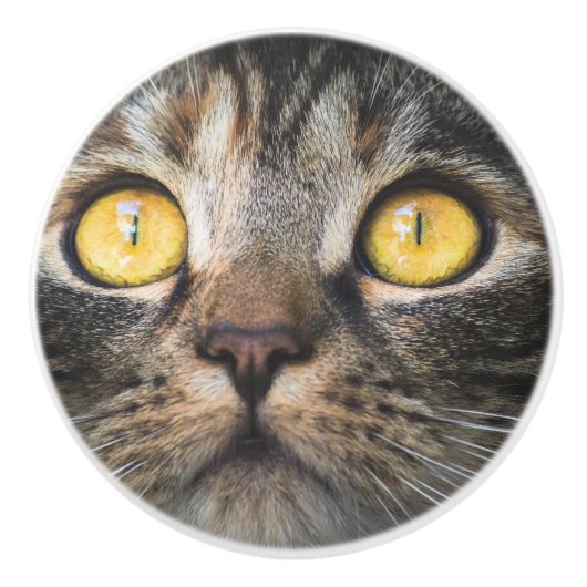 黄色い目の猫のクローズアップ セラミックノブ (正面)