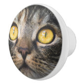 黄色い目の猫のクローズアップ セラミックノブ (右)