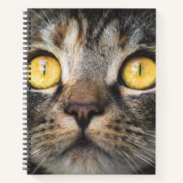 黄色い目の猫のクローズアップ ノートブック