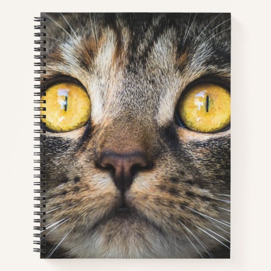 黄色い目の猫のクローズアップ ノートブック (正面)