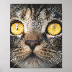 黄色い目の猫のクローズアップ ポスター