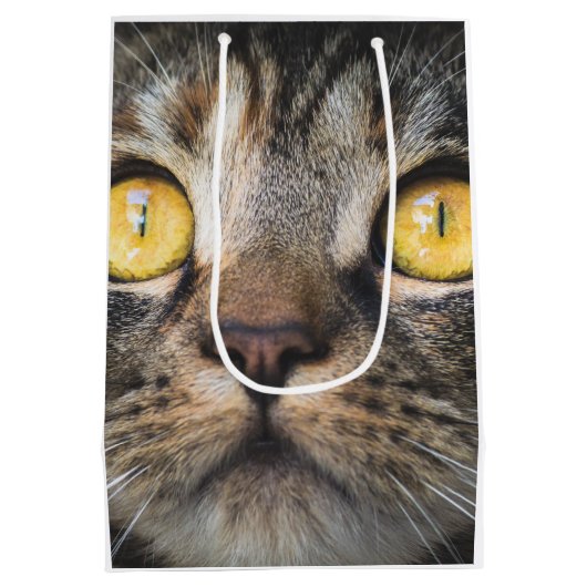 黄色い目の猫のクローズアップ ミディアムペーパーバッグ (裏面)