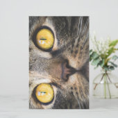 黄色い目の猫のクローズアップ 便箋 (スタンド正面)