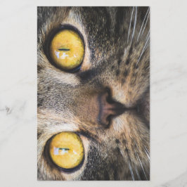 黄色い目の猫のクローズアップ 便箋