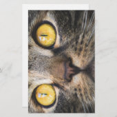 黄色い目の猫のクローズアップ 便箋 (正面/裏面)