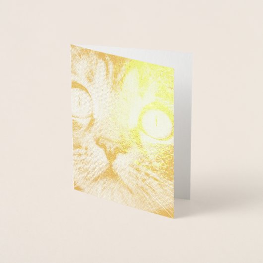 黄色い目の猫のクローズアップ 箔カード (正面)