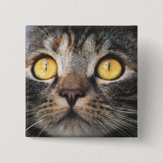 黄色い目の猫のクローズアップ 缶バッジ (正面)
