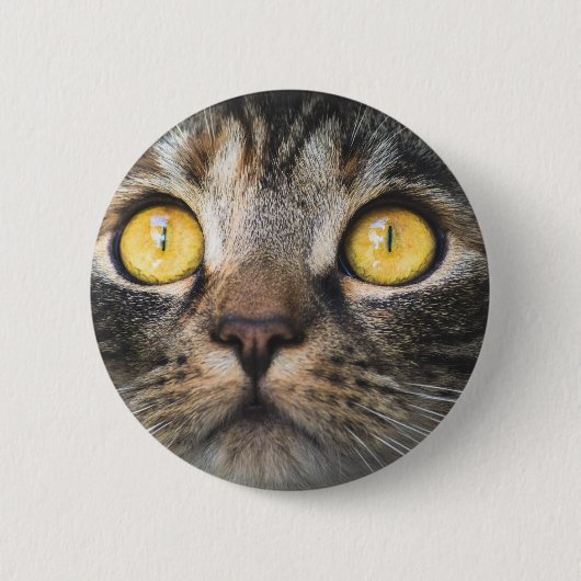 黄色い目の猫のクローズアップ 缶バッジ (正面)