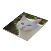 黄色い目をした白猫 タイル (側面)