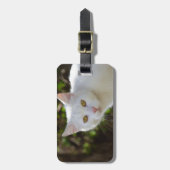 黄色い目をした白猫 ラゲッジタグ (正面縦)