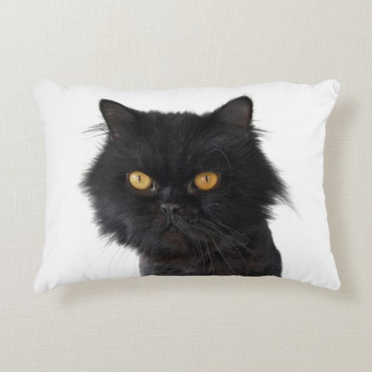 黄色い目をした黒いペルシャ猫 アクセントクッション (正面)