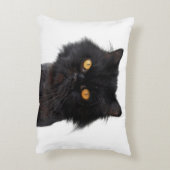 黄色い目をした黒いペルシャ猫 アクセントクッション (裏面(縦))