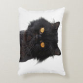 黄色い目をした黒いペルシャ猫 アクセントクッション (正面(垂直))