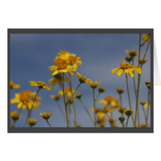 黄色い砂漠の野生の花