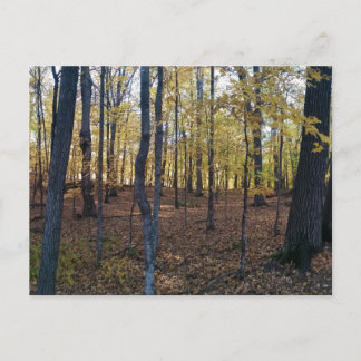黄色い秋のはがき ポストカード