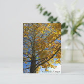 黄色い秋の木 ポストカード (スタンド正面)