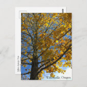 黄色い秋の木 ポストカード (正面/裏面)