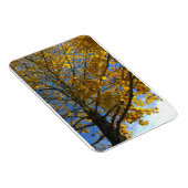 黄色い秋の木 マグネット (右側)