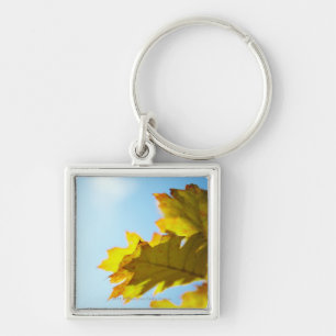 黄色い紅葉の閉めて下さい キーホルダー