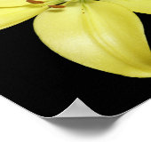 黄色い素晴らしユリのポスター ポスター (角)