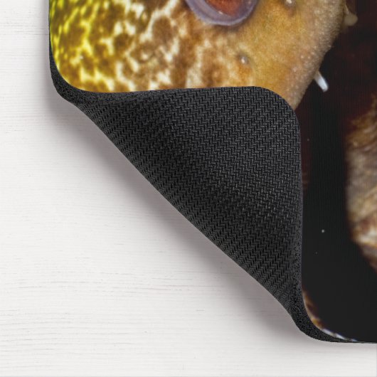 黄色い縁の口を大きく開き、威嚇すること マウスパッド (コーナー)