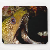 黄色い縁の口を大きく開き、威嚇すること マウスパッド (正面)