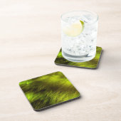 黄色い羽 コースター (右側)