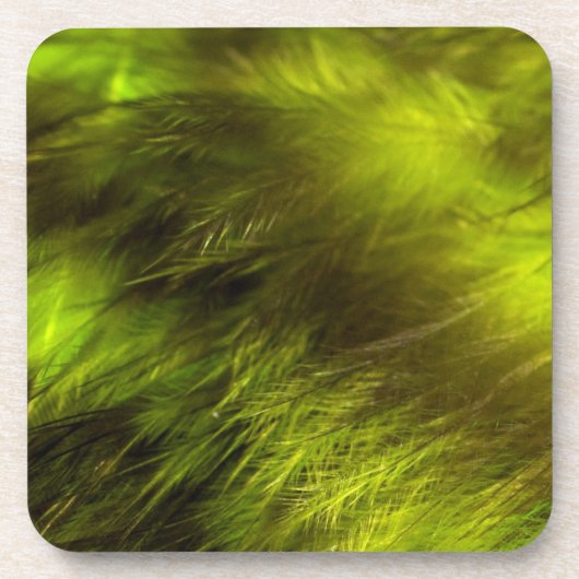 黄色い羽 コースター (正面)