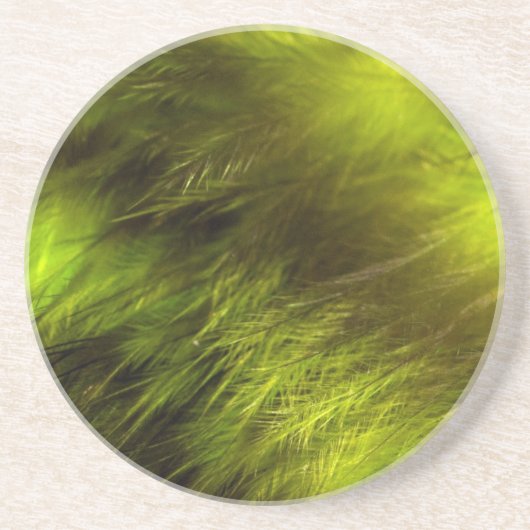 黄色い羽 コースター (正面)