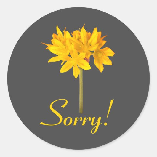 黄色い花すいません ラウンドシール (正面)