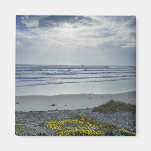 黄色い花と太陽の光を持つスペインの海岸線 マグネット (正面)