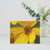 黄色い花と昆虫#2 ポストカード (スタンド正面)