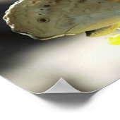 黄色い花に咲く蝶の花の写真 ポスター (角)