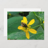 黄色い花のカスタムハチミツバチのポストカード ポストカード (正面/裏面)