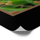 黄色い花のカタツムリ ポスター (角)