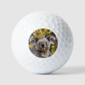 黄色い花のガラガラの木で ゴルフボール (正面)