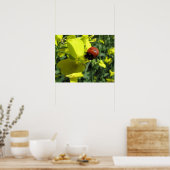 黄色い花のヒゲムシ ポスター (キッチン)