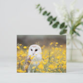 黄色い花のフィールドにバームフクロウ写真はがき ポストカード (スタンド正面)