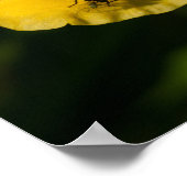 黄色い花のポスター紙（マット） ポスター (角)