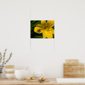 黄色い花のポスター紙（マット） ポスター (キッチン)