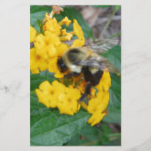 黄色い花の上に黄色と黒のミツバチ 便箋 (正面)