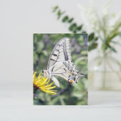 黄色い花の上の白と黒の蝶 ポストカード (スタンド正面)
