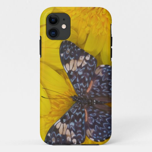 黄色い花の上の蝶 Case-Mate iPhoneケース (裏面)