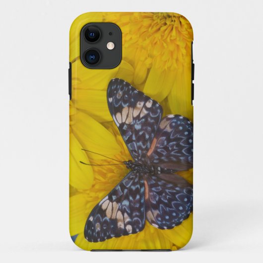 黄色い花の上の蝶 Case-Mate iPhoneケース (裏面)