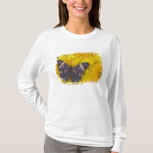 黄色い花の上の蝶 Tシャツ (正面)