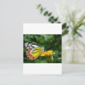 黄色い花の上の黄色と赤の蝶 ポストカード (スタンド正面)