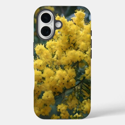 黄色い花の咲くオーストラリアの黄色いガラガラの木 Case-Mate iPhoneケース (裏面)
