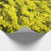 黄色い花の咲く低木の金テンプレートWoadwaxen ラッピングペーパー (角)