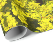 黄色い花の咲く低木の金テンプレートWoadwaxen ラッピングペーパー (ロールコーナー)